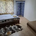 Вилла Dedo Liben *
